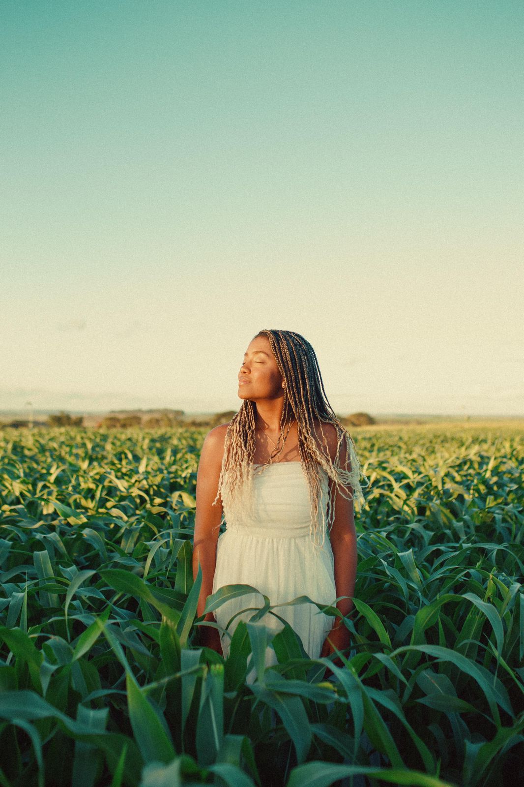 Carolina R. Nunes em um campo, vestido branco, ao entardecer